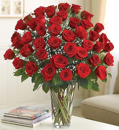 Ultimate Elegance  Premium Long Stem Red Roses