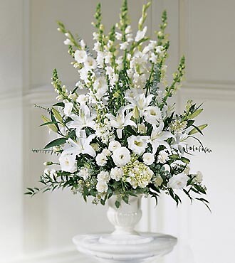 Morning Stars Arrangement