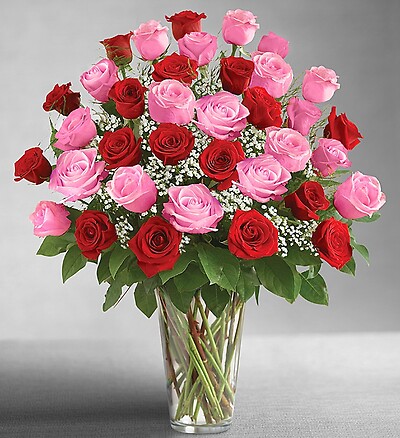 Ultimate Elegance Long Stem Pink &amp; Red Roses