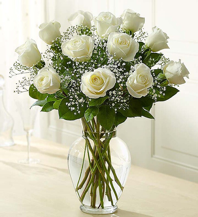 Rose Elegance Premium Long Stem White Roses