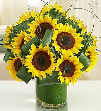 Sun-Sational Sunflowers&amp;trade;