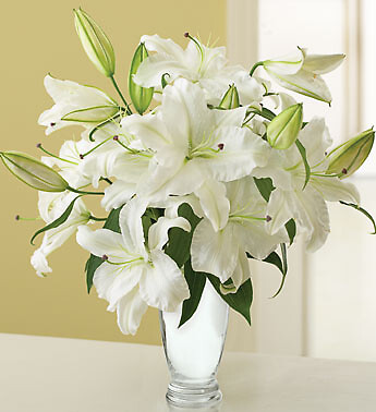Graceful White Lily Bouquet for Sympathy