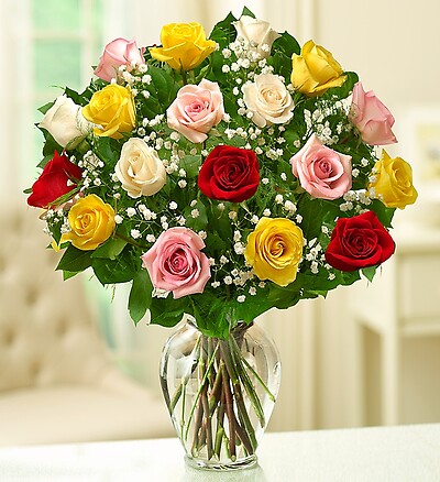 Rose Elegance Premium Long Stem Assorted Roses