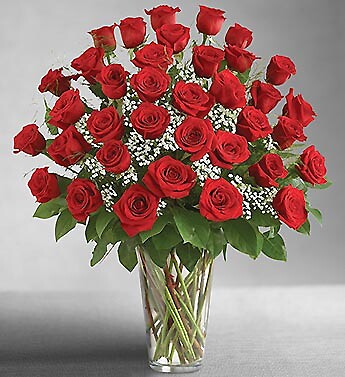 Ultimate Elegance Premium Long Stem Red Roses