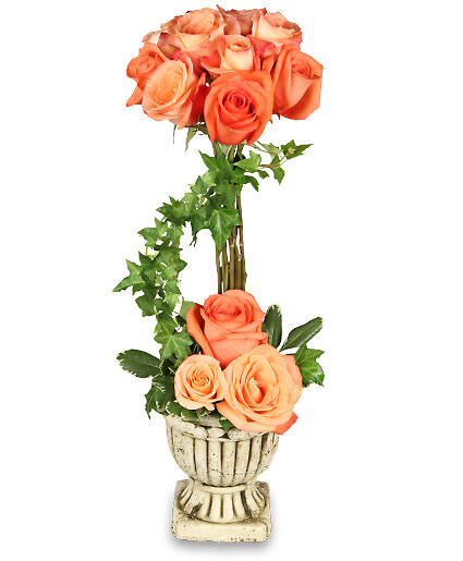 Peach Rose Topiary