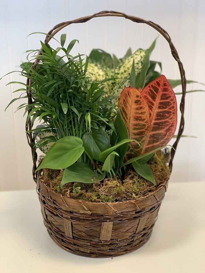 Basket Garden- Small